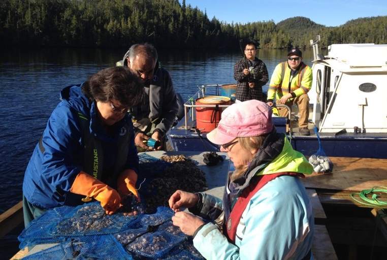 Aquaculture team members sort oysters and put them into clean pearl nets. (From left to right: Dorothy Henderson, Ernie Henderson, Wesley Walkus, Karen Bailey and Albert Charlie).