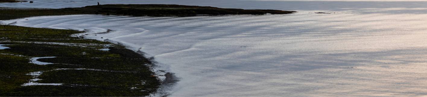 waves lapping at the shoreline